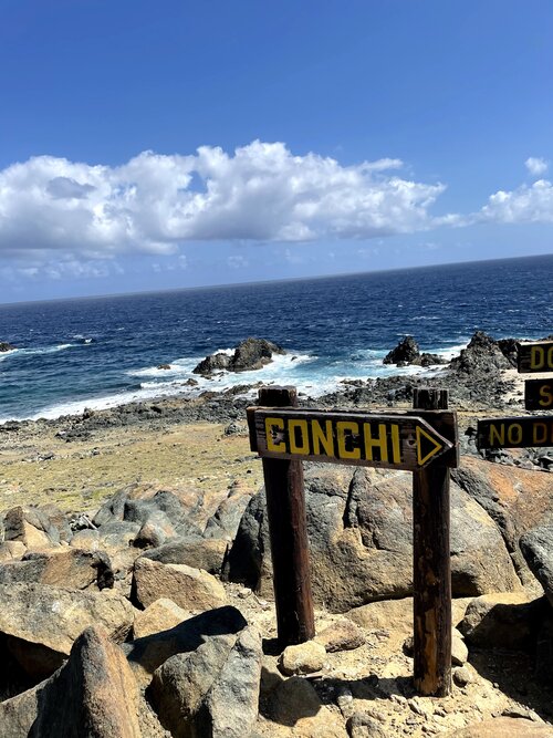 places to snorkel in Aruba Conchi 