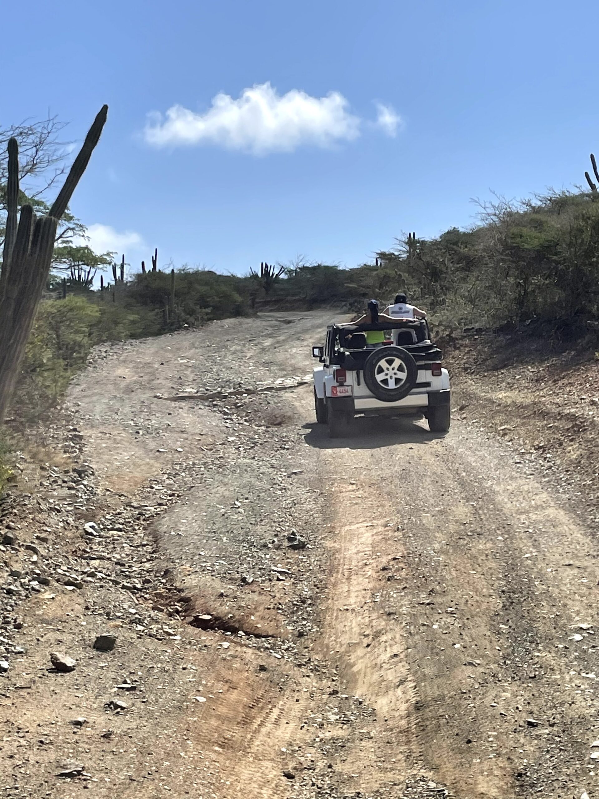 rent a Jeep in Aruba